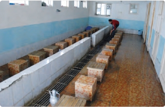 Ablution facilities in the education center.JPG