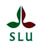 SLU logo.png