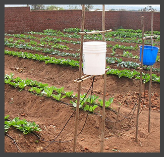 Chapin irrigation small.jpg